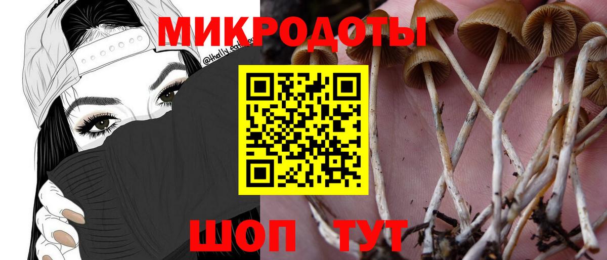 Галлюциногенные грибы мицелий Каменск-Уральский