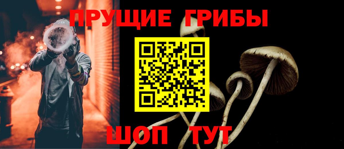 Псилоцибиновые грибы мицелий Каменск-Уральский